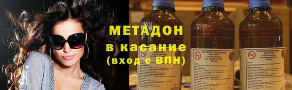 шишки Арсеньев