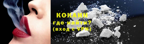 шишки Арсеньев
