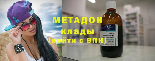 шишки Арсеньев