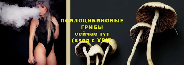 шишки Арсеньев