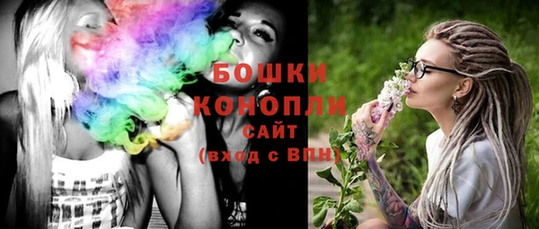 шишки Арсеньев