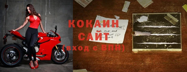 шишки Арсеньев