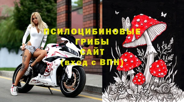 шишки Арсеньев
