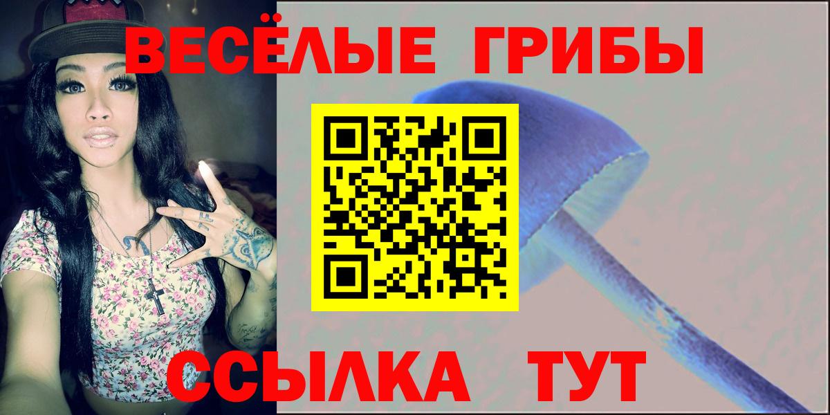 Псилоцибиновые грибы прущие грибы Нововоронеж