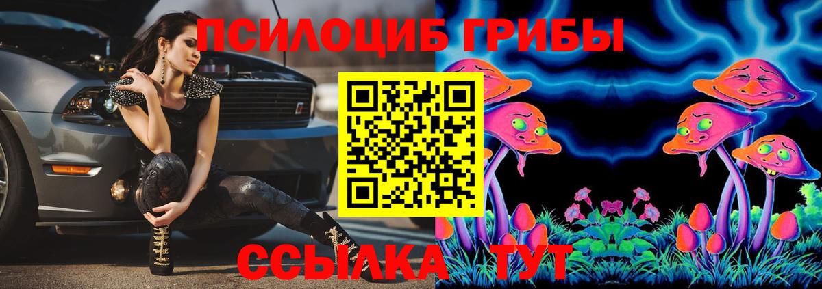 Нововоронеж  Галлюциногенные грибы GOLDEN TEACHER  закладки  Вход с VPN 