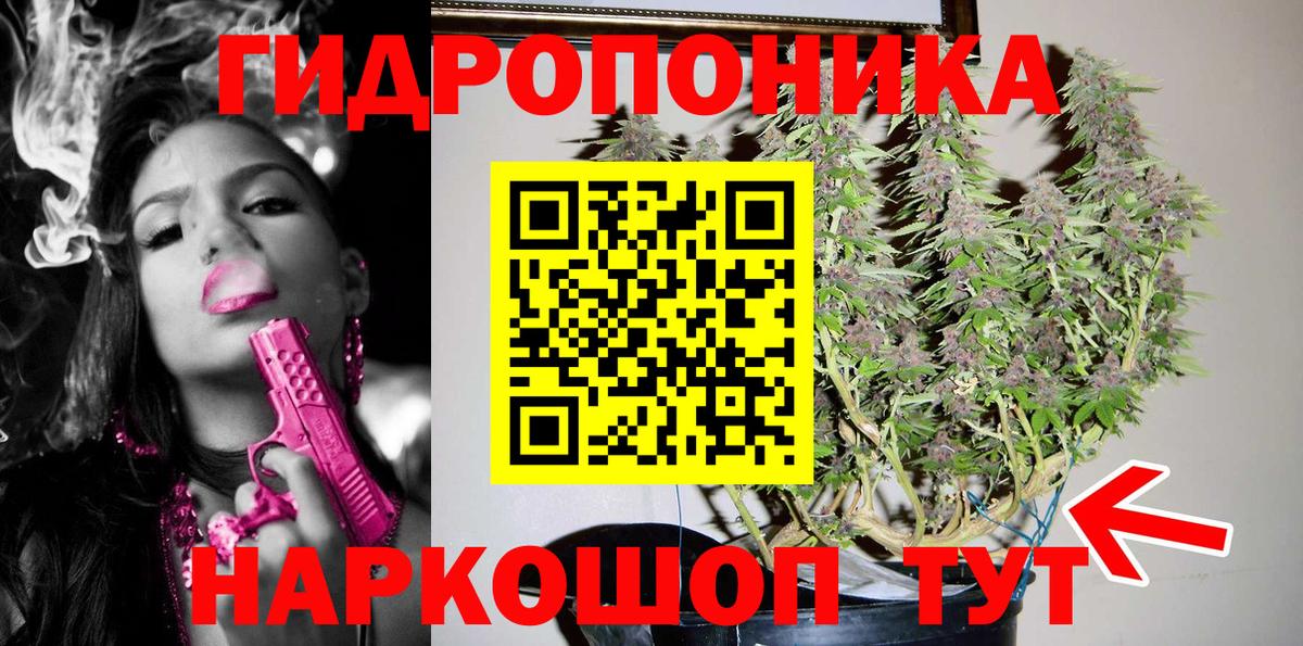 Канабис гибрид  Канабис AK-47  Нововоронеж  Вход с VPN  Марихуана OG Kush  Марихуана Amnesia 